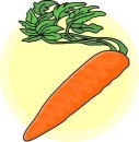 carrot