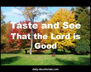 Taste and See That the Lord is Good