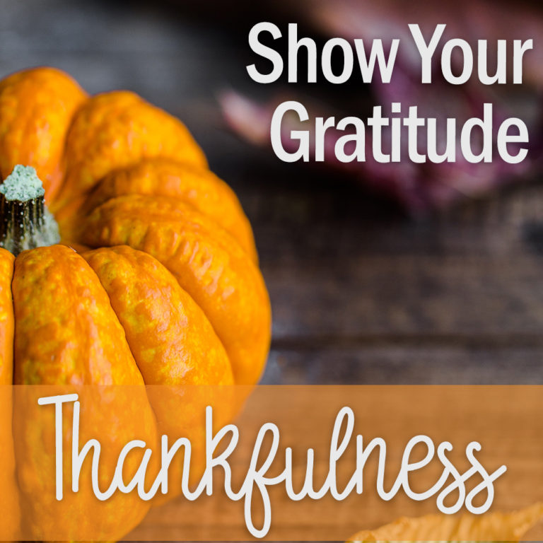 pumpkin Show your gratitude