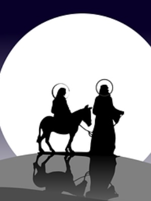 Mary and joseph led through God's direction to Joseph through dreams